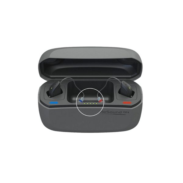 ‍GN RESOUND Premium Charger (100% off)